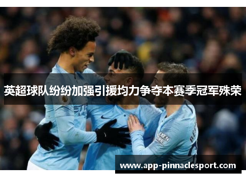 英超球队纷纷加强引援均力争夺本赛季冠军殊荣